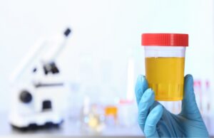 What to Avoid When Buying Synthetic Urine Kits in 2023: A Guide to Protect Yourself